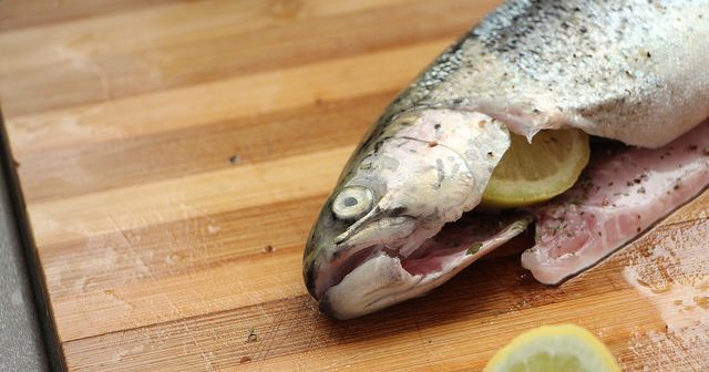 Pstruh lososovitý – ryba, které byste měli dát šanci